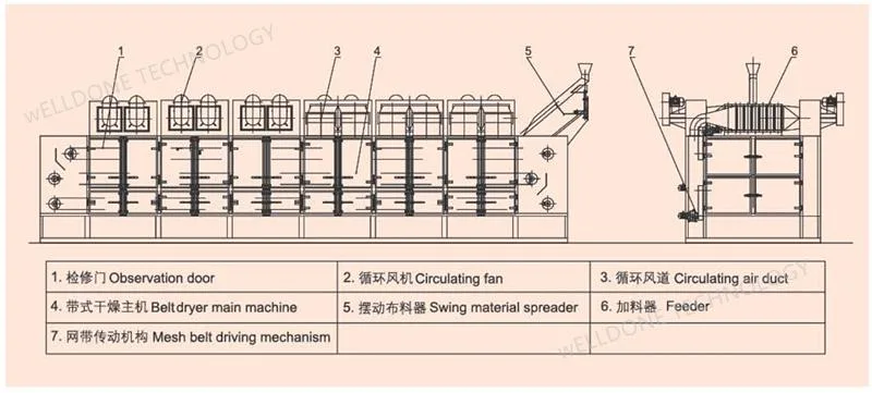 Dw Conveyor Mesh Belt Dryer for Vegetables Fruit Desiccated Coconut Plant Flower Leaf Agricultural Products Food Chemical Granule Strip Materials Drying Machine